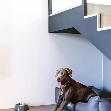 Exklusives Auf Fehmarn *